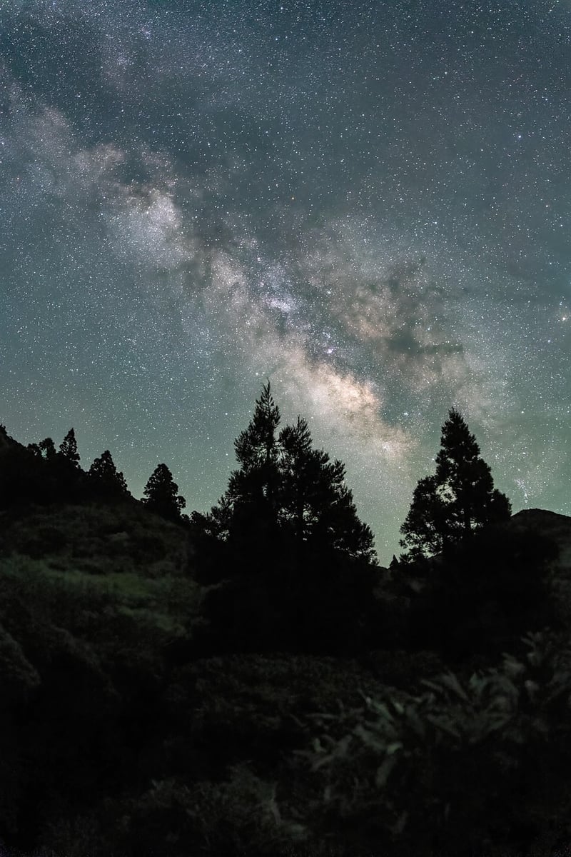 Mindful Stillness
